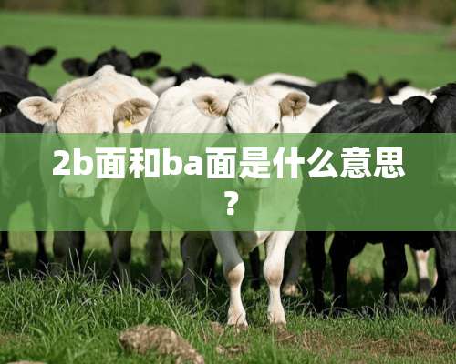 2b面和ba面是什么意思？