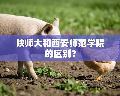 陕师大和西安师范学院的区别？