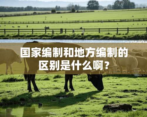 国家编制和地方编制的区别是什么啊？