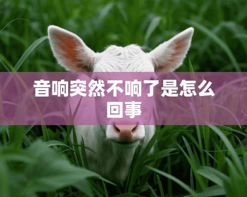 音响突然不响了是怎么回事