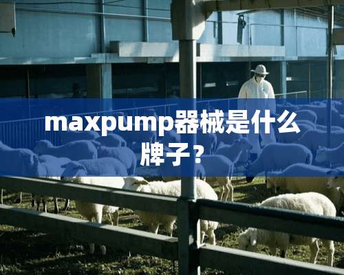 maxpump器械是什么牌子？