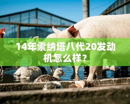 14年索纳塔八代20发动机怎么样？