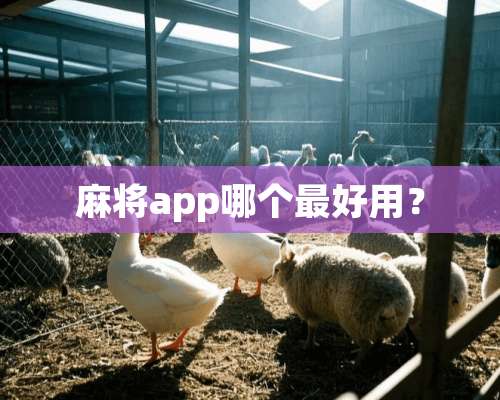 **app哪个最好用？