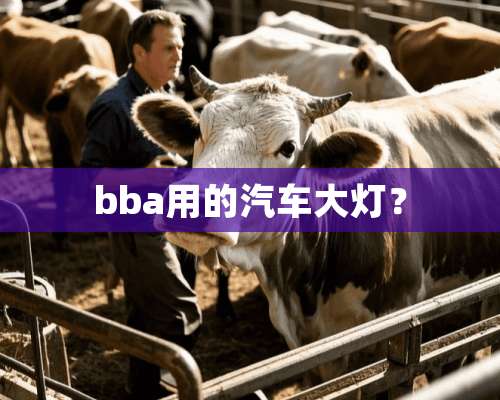 bba用的汽车大灯？