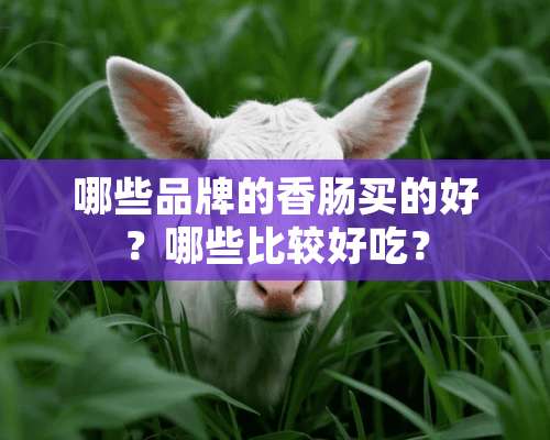 哪些品牌的香肠买的好？哪些比较好吃？