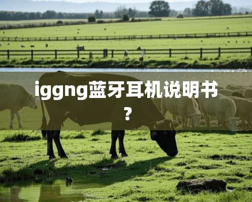 iggng蓝牙耳机说明书？