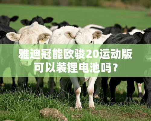 雅迪冠能欧骏20运动版可以装锂电池吗？