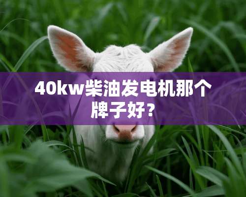 40kw柴油发电机那个牌子好？