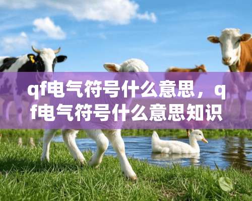 qf电气符号什么意思，qf电气符号什么意思知识