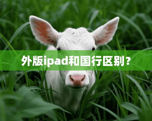 外版ipad和国行区别？