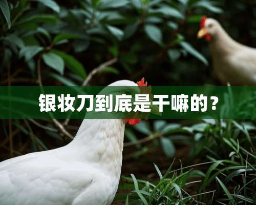 银妆刀到底是干嘛的？