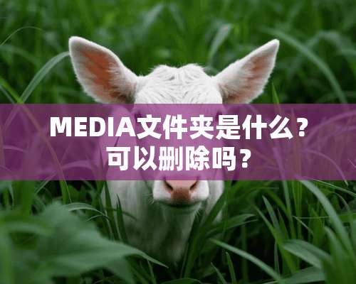 MEDIA文件夹是什么？可以删除吗？