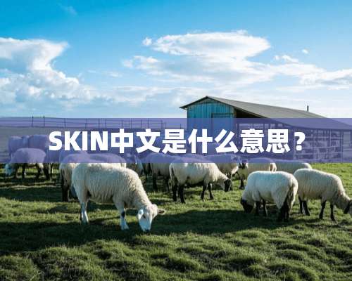 SKIN中文是什么意思？