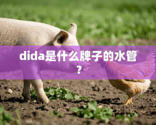 dida是什么牌子的水管？