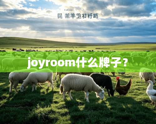 joyroom什么牌子？