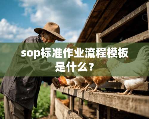 sop标准作业流程模板是什么？