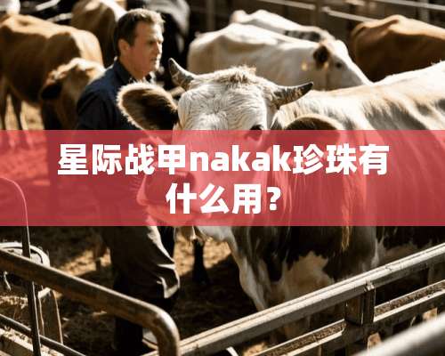 星际战甲nakak珍珠有什么用？