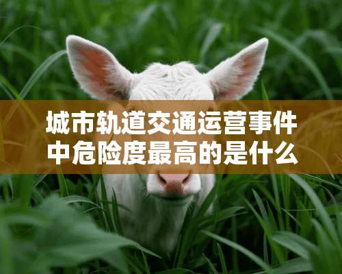 城市轨道交通运营事件中危险度最高的是什么事件？