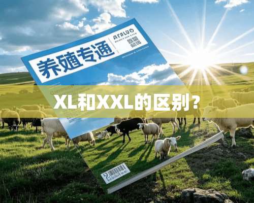 XL和XXL的区别？