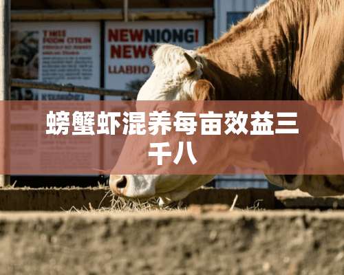 螃蟹虾混养每亩效益三千八