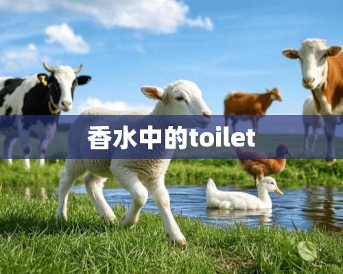 香水中的toilet