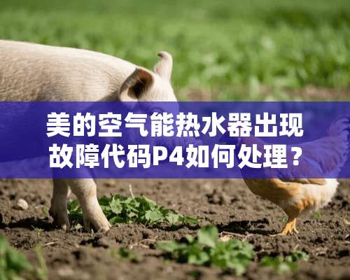 美的空气能热水器出现故障代码P4如何处理？