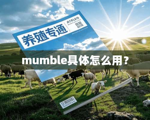 mumble具体怎么用？