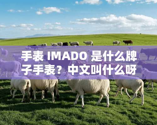 手表 IMADO 是什么牌子手表？中文叫什么呀？