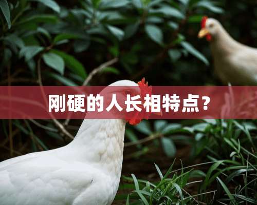 刚硬的人长相特点？