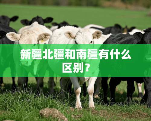 新疆北疆和南疆有什么区别？