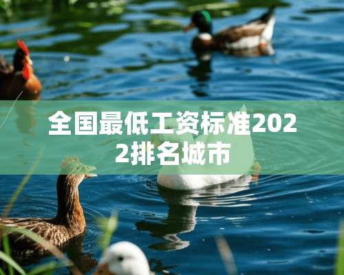 全国最低工资标准2022排名城市