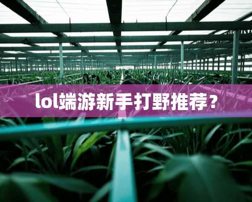 lol端游新手打野推荐？