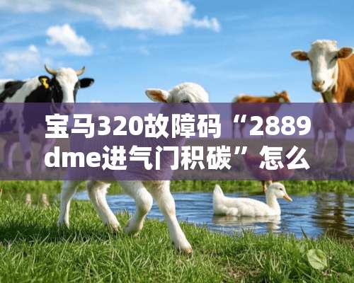 宝马320故障码“2889dme进气门积碳”怎么处理？