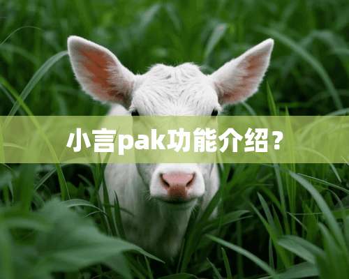 小言pak功能介绍？