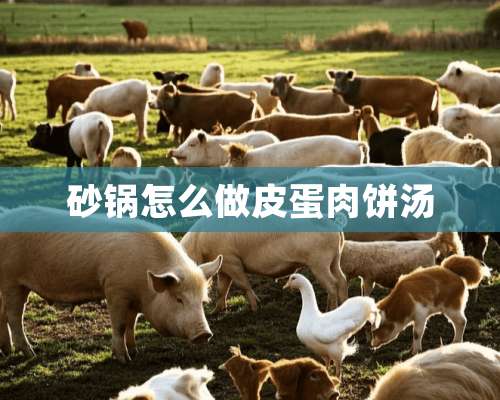 砂锅怎么做皮蛋肉饼汤