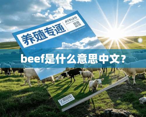 beef是什么意思中文？