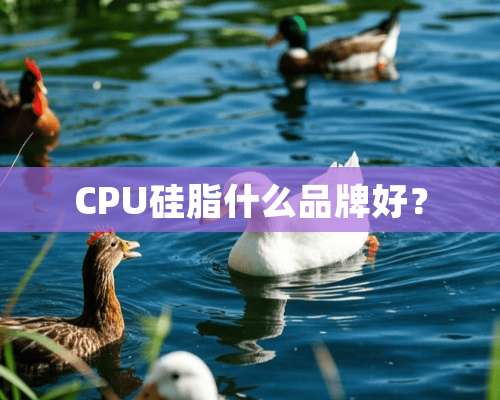 CPU硅脂什么品牌好？