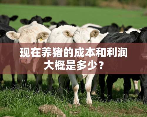 现在养猪的成本和利润大概是多少？