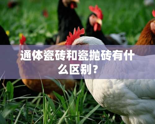 通体瓷砖和瓷抛砖有什么区别？