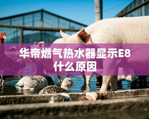 华帝燃气热水器显示E8什么原因