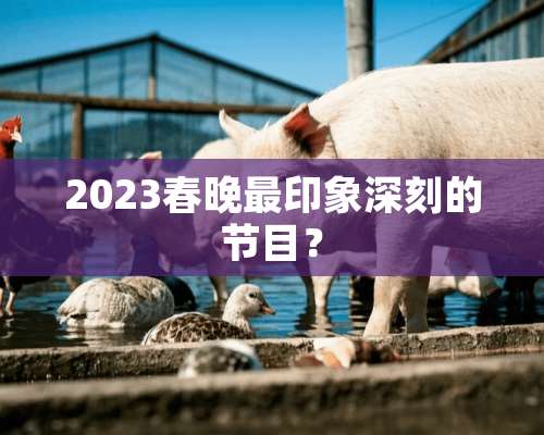 2023春晚最印象深刻的节目？