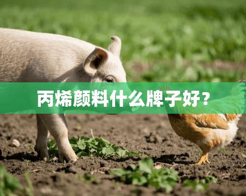 丙烯颜料什么牌子好？