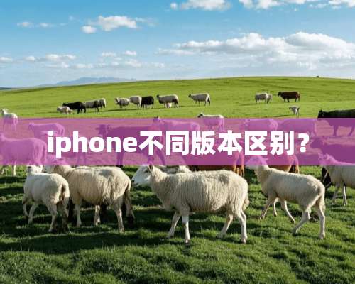 iphone不同版本区别？