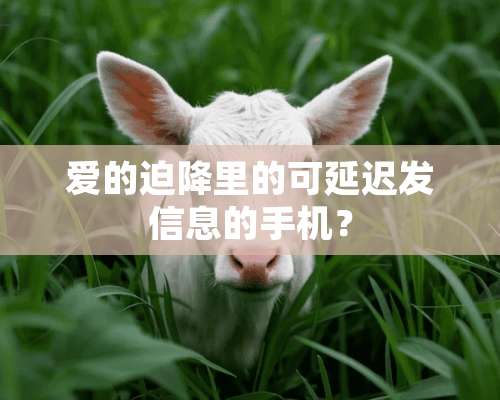 爱的迫降里的可延迟发信息的手机？