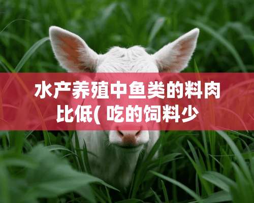 水产养殖中鱼类的料肉比低( 吃的饲料少