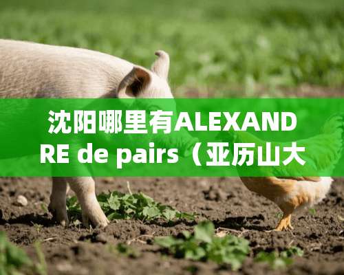 沈阳哪里有ALEXANDRE de pairs（亚历山大发饰）专卖店？？