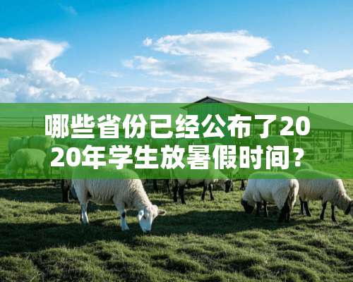 哪些省份已经公布了2020年学生放暑假时间？