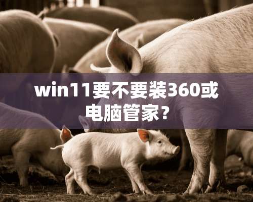 win11要不要装360或电脑管家？