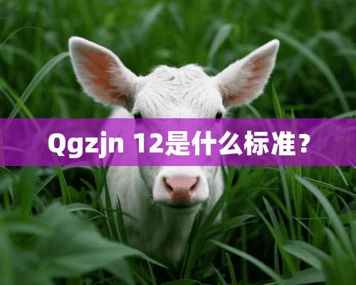 Qgzjn 12是什么标准？