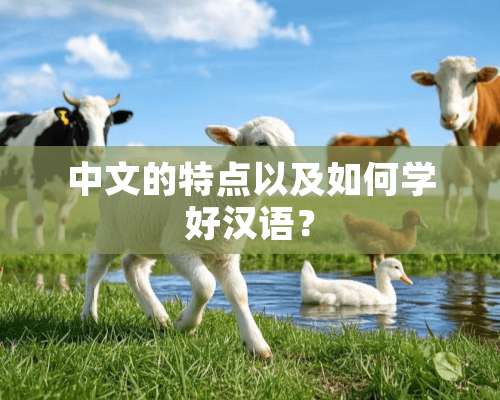 中文的特点以及如何学好汉语？